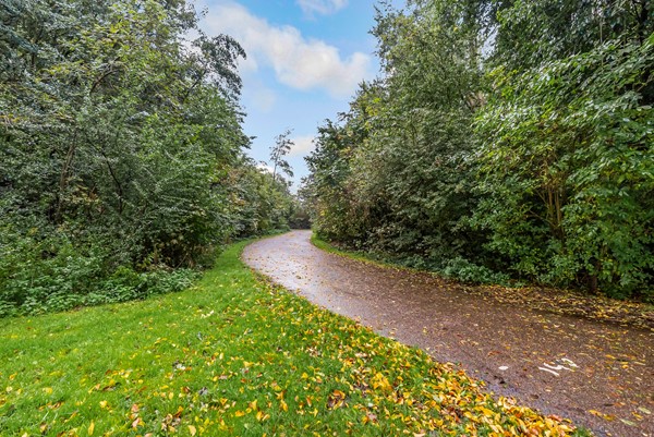 KOOLZAADWEG 35-56.jpg